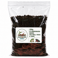 250g live Dendrobaena worms for small frogs and toads