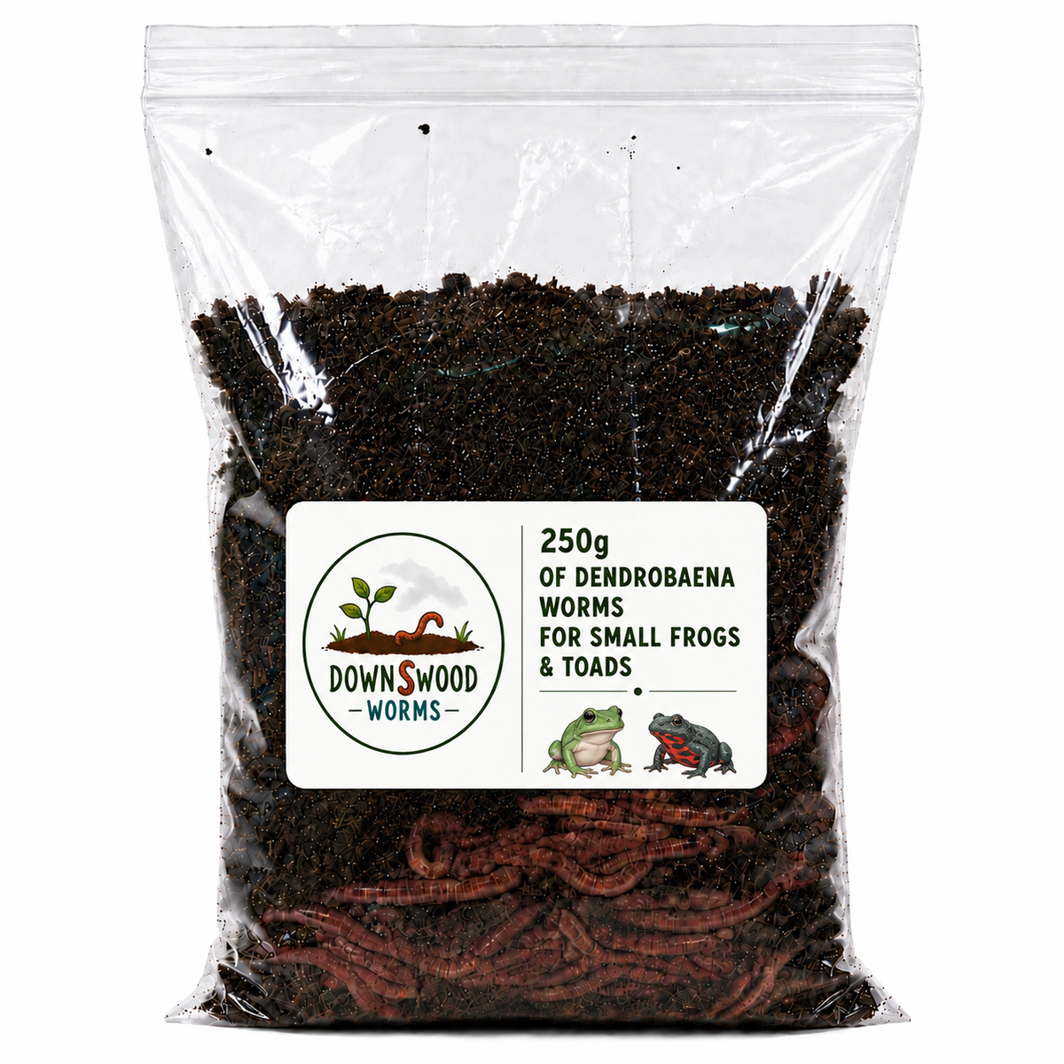 250g live Dendrobaena worms for small frogs and toads