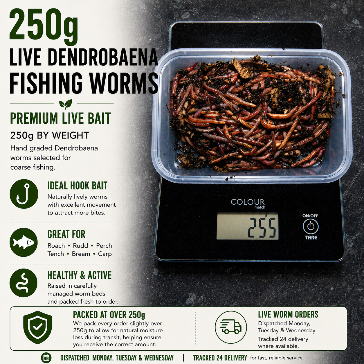 A 250g container of live Dendrobaena fishing worms on a digital scale, presented on a dark textured background with product information and icons on the left.