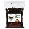 250g Live Dendrobaena Worms | Large Frog and Toad Food