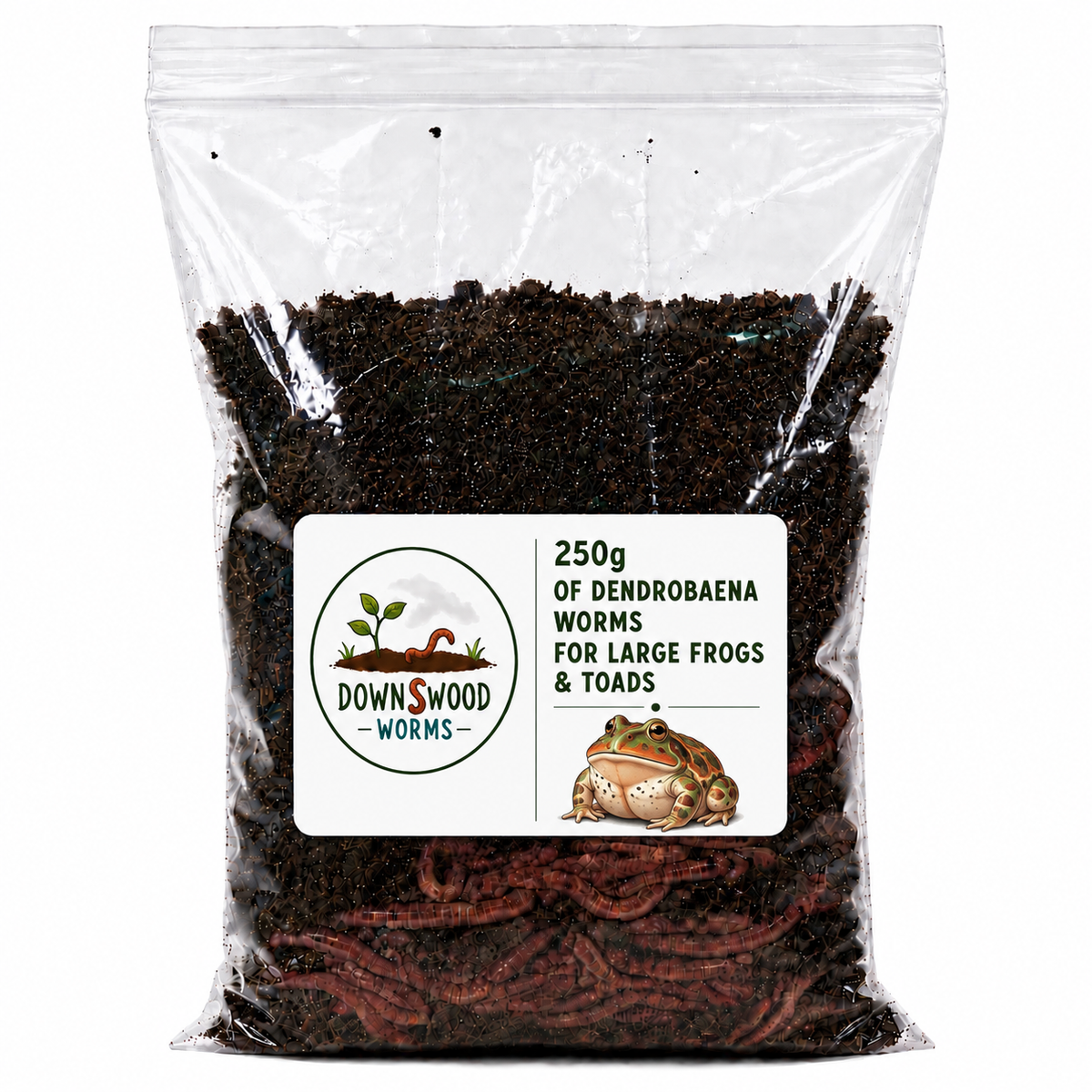 250g Live Dendrobaena Worms | Large Frog and Toad Food