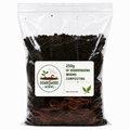 A clear plastic bag filled with dark composting worms and soil, with a white label reading '250g of Dendrobium worms composting' and the Downwood Worms logo, on a white background.