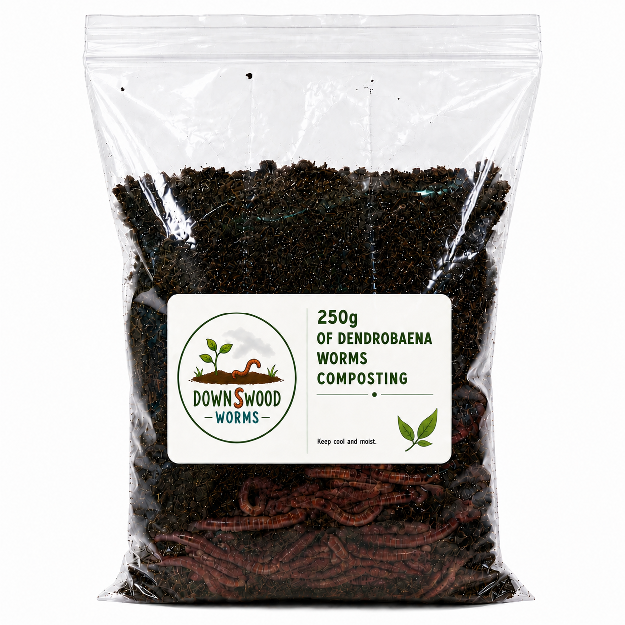 A clear plastic bag filled with dark composting worms and soil, with a white label reading '250g of Dendrobium worms composting' and the Downwood Worms logo, on a white background.