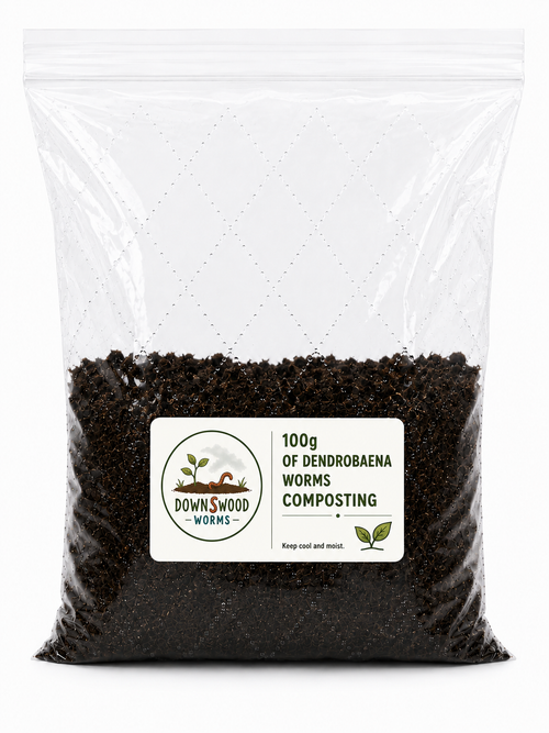 A clear plastic resealable bag filled with dark brown composting material, featuring a white label that reads 'Downwood Worms' and '100g of Dendrobaena Worms Composting'.