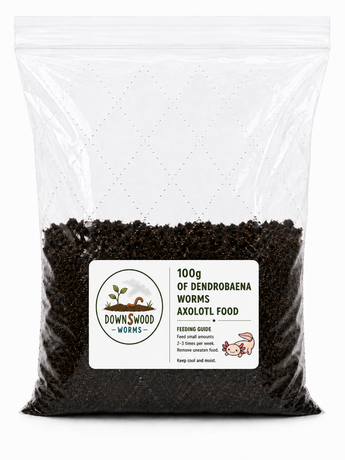 A clear plastic bag filled with dark brown worm castings, featuring a white label on the front with the brand 'Downswood Worms' and text reading '100g of Dendrobaena Axolotl Food'.